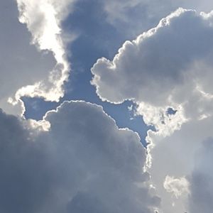 Meet your Posher, Carmel